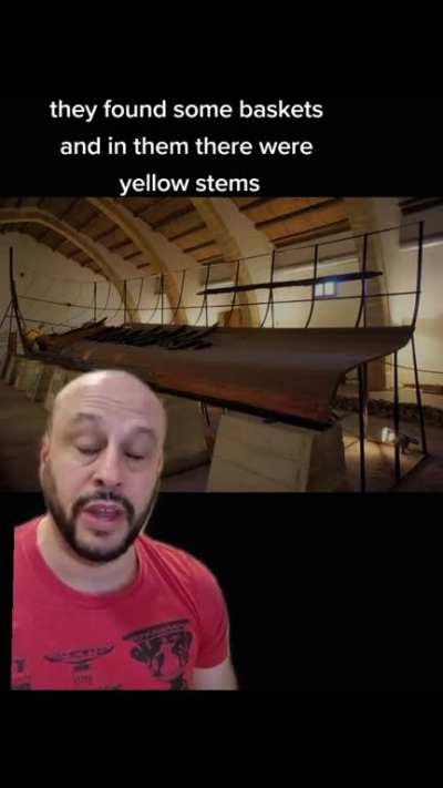 What fuelled those Carthaginian rowers...😄