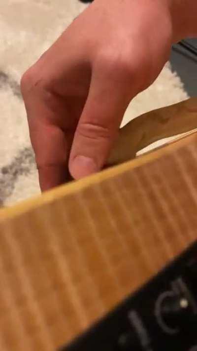 My boa likes the bass so much he wants to be as close to the action as possible.