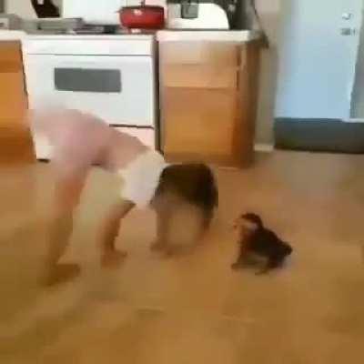 Love this...🙀🙀🙀🙀