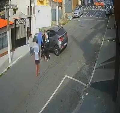 Dog runs away from the garage and create one mess after another..