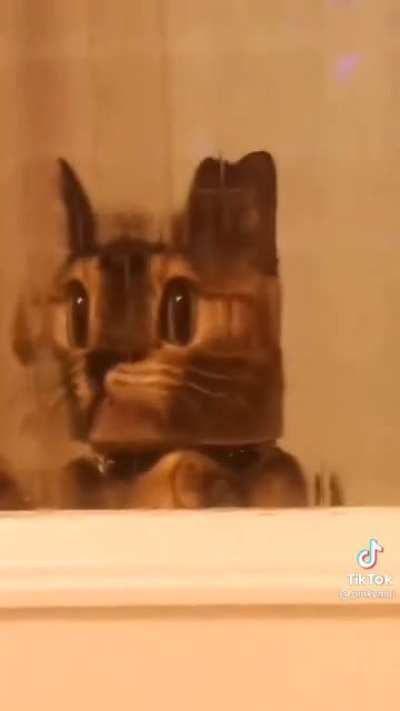 Minecraft car minecraft cat