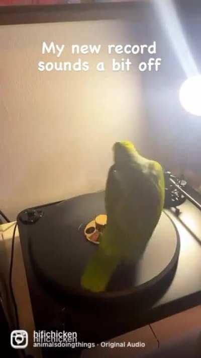 You spin me right round