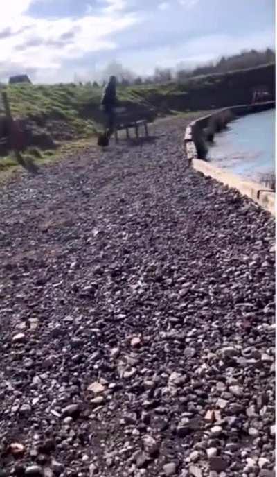 Sorry son, my duck people need me.