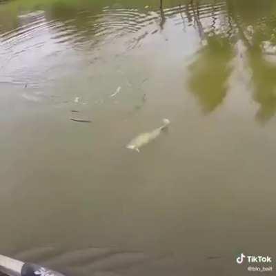 I struggle to get one most days