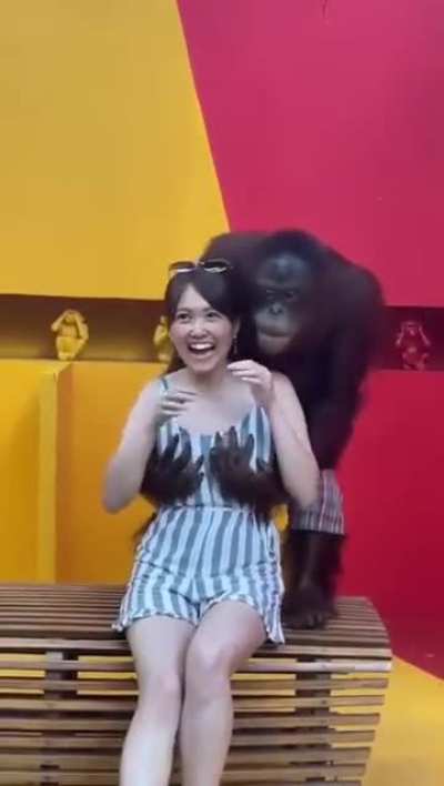 This Orangutan Took a Real Liking to Her