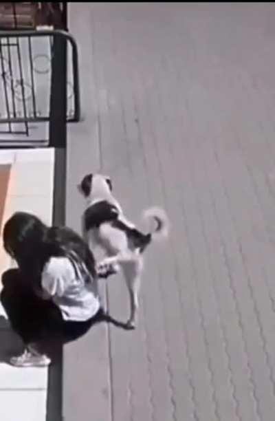 He already knows he's the goodest boy