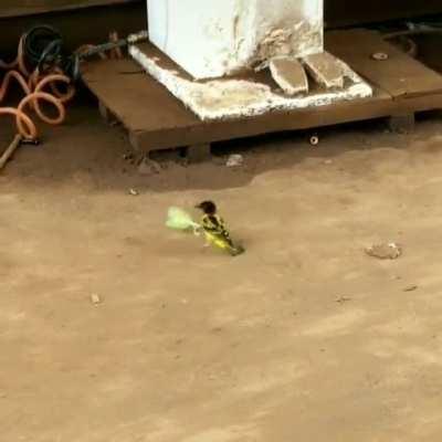 Don't play around with your food