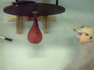 Punching Bag 1 - 0 Kid