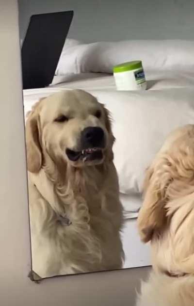 Don mess wit me. Am danger.