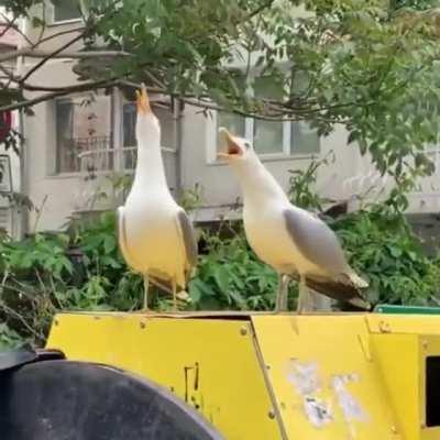 When you tell your partner the best joke ever