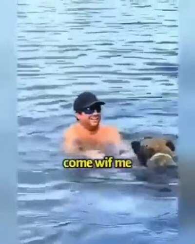 Deeply concerned doggies