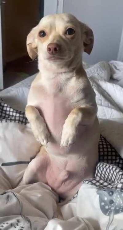 Frankie can’t come