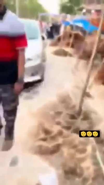 Who needs enemies when you have toxic friends like this?