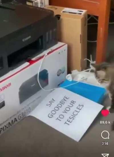 Poor guy is gonna lose his jewels soon