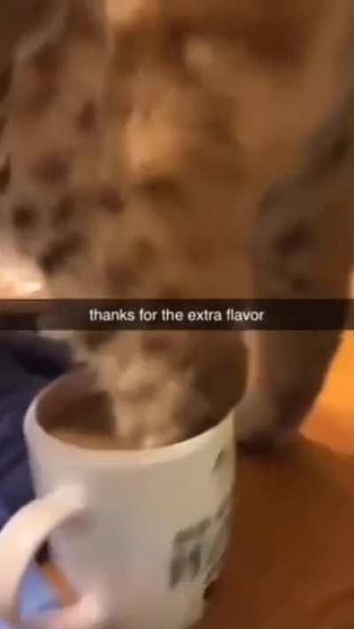 There goes your coffee