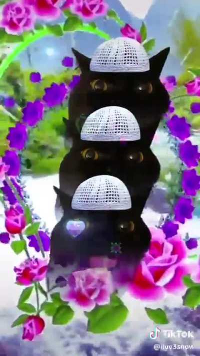 ✩₊˚.☪︎ ⁺₊✧ 💚Eid Mubarak💚⁺₊✧˚.☪︎ ✩₊