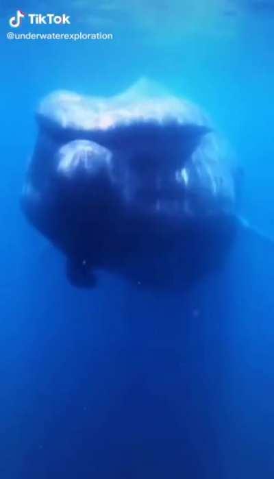 Beautiful and terrifying at the same time.