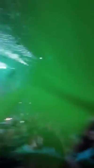 Drove 4hrs alone to Houston to catch Muse as a last minute birthday gift to myself. It was all incredible, but when Verona played it almost made me shed tears. Vibes were so good.