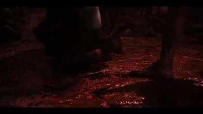 What really happened...