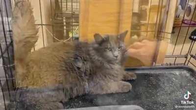 Just needed some love