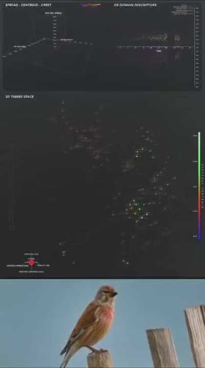 What's going on here?