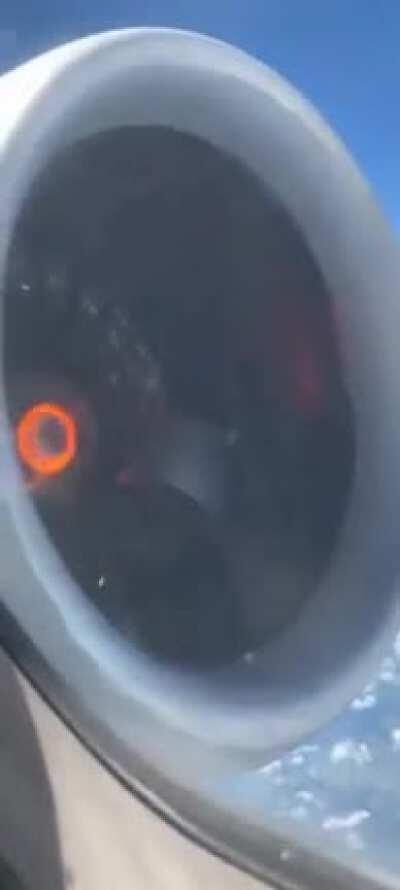 Not the 1st time on a plane, uh how important is that thingy? One is inside an engine...