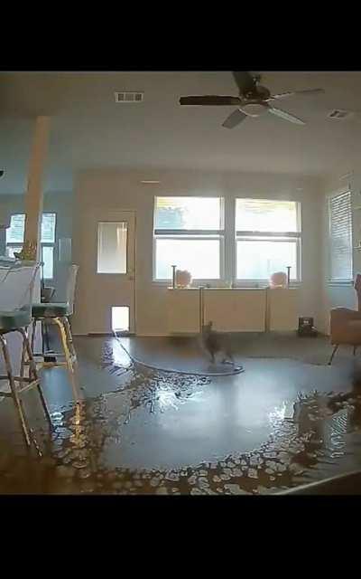 Oops we forgot the Slip n' Slide, lemme go back out and get it...