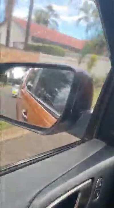 Attempted Hijacking 2