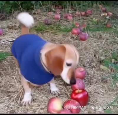 W9qo2udbxvbzzjjz:ooooswhqh1jqkakmz