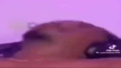 Guys, I think he wanna rock