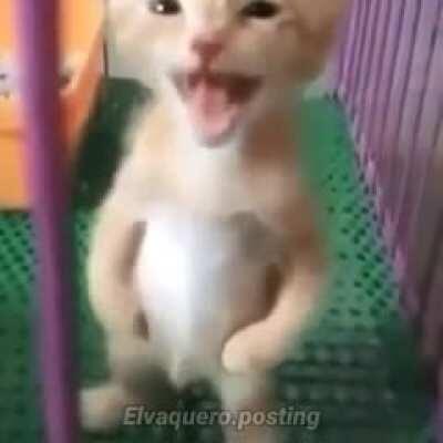 2020 resumen 🤑😼😎👍🏻