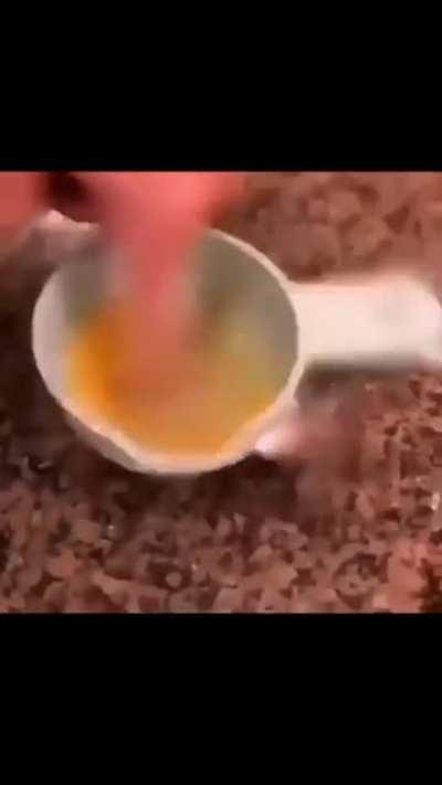 Muéstrame lo que puedes hacer con esos dedos...