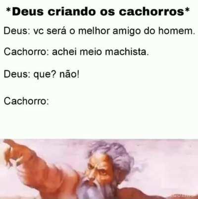 Digam seus relatos de cachorros que comeram chocolate, o que aconteceu com eles?