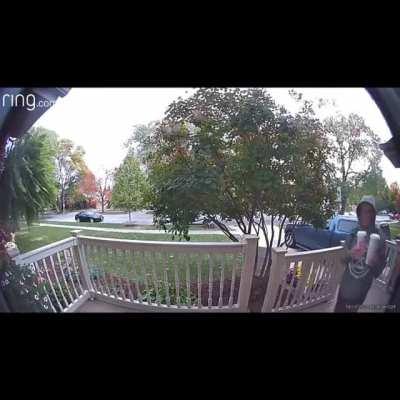 Just one of those days