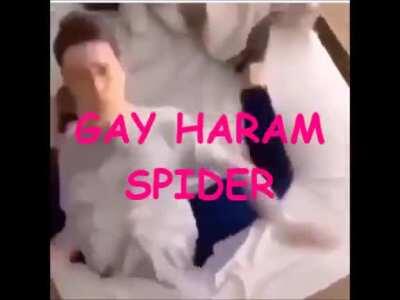 Gaming video 2020 144p HD