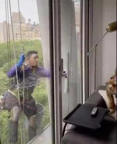 Dog shows window washer his stuffed tiger.