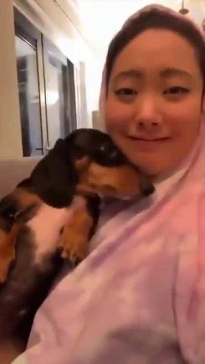 Dogs reacting to getting kissed