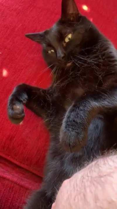 “I didn’t say you could stop!”