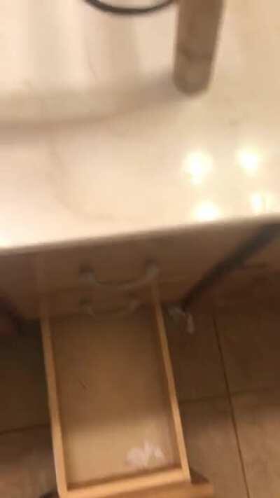 This raccoon was raised in a desk drawer. She can’t get past it.