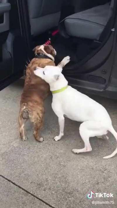 They’re trying their hardest