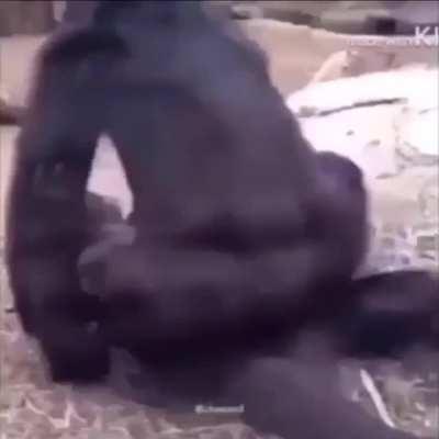 Ride wife, life good