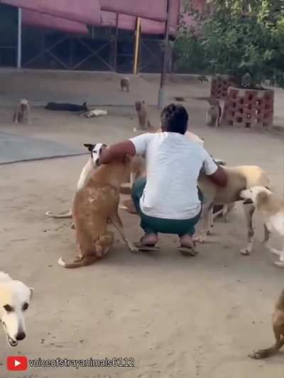 That man deserves heaven on earth.