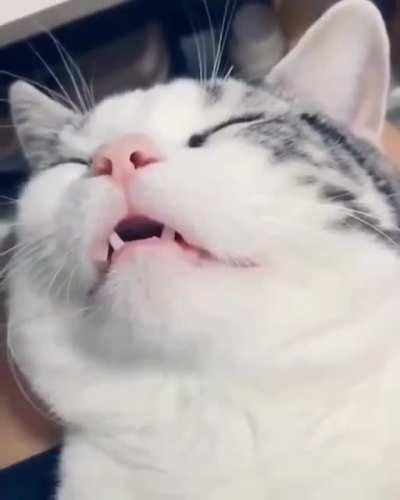 Oh my goodness please turn on sound