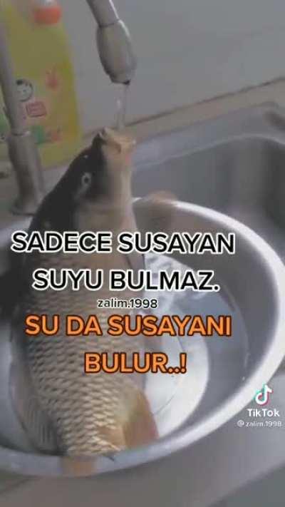Balıklar suda yaşamıyor muydu ?