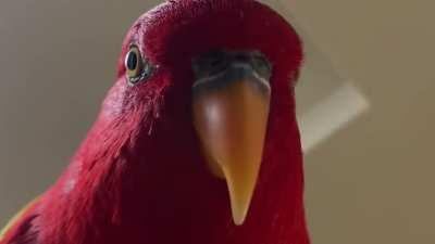 booting up destiny 2 be like