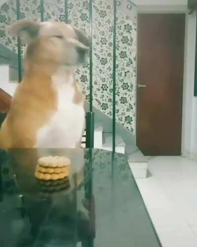 Cuando sos honesto en Argentina