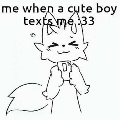 Furry_irl