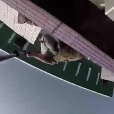 An interesting title