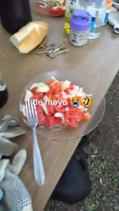 Cuando el d&iacute;a del animal est&aacute; muy cerca del d&iacute;a del trabajador!