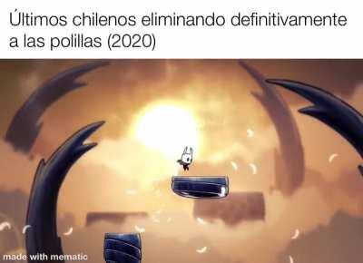 Polillas_ctm